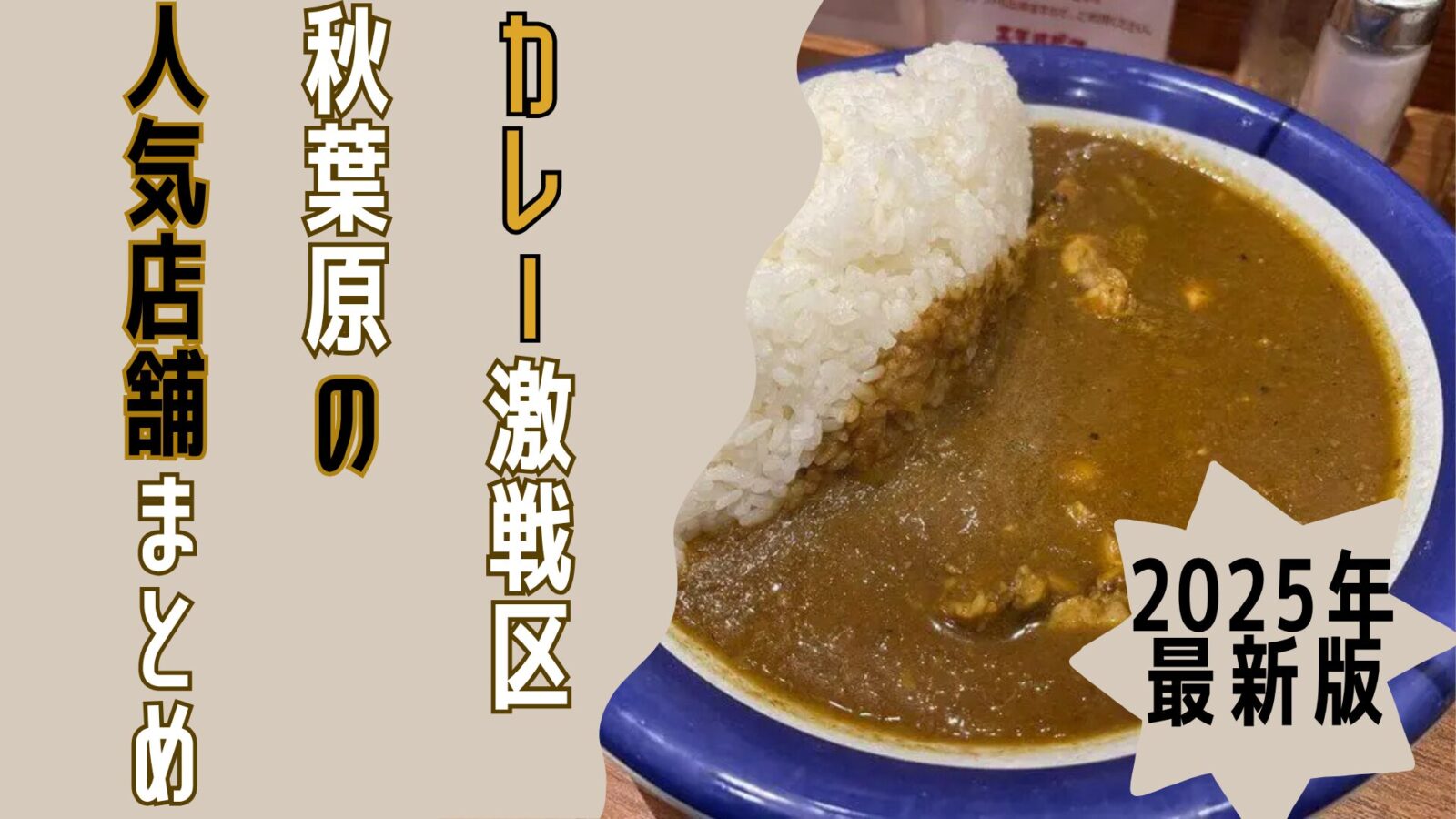 【2025年最新版】カレー激戦区秋葉原の人気店舗まとめ ランチにも